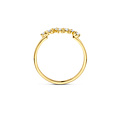 Blush BLUSH 1267YZI 14krt geelgouden ring met 7x zirconia verspringend