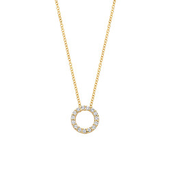 BLUSH 14krt. Geelgouden collier 3065YZI