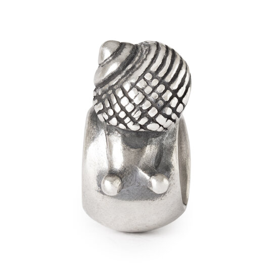 Trollbeads TROLLBEADS TAGBE-10289 Zilveren bedel: Langzame schoonheid