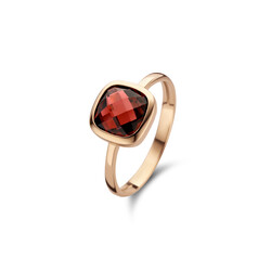 JARREL 4Y.7429.GRS 14krt geelgouden ring San Marino met granaat