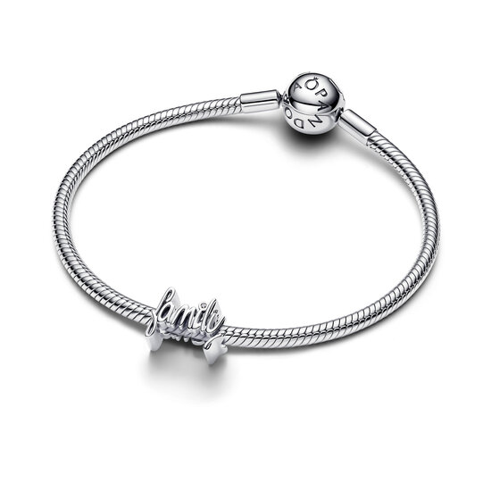 Pandora PANDORA 794250C01 Family sterling silver charm with zirconia