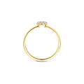 Blush BLUSH 1277YZI 14krt geelgouden ring, aanschuifbaar, met 8x zirconia in ronde vorm