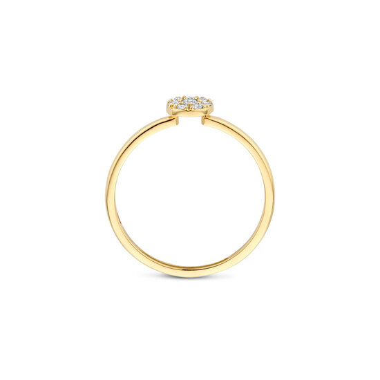 Blush BLUSH 1277YZI 14krt geelgouden ring, aanschuifbaar, met 8x zirconia in ronde vorm