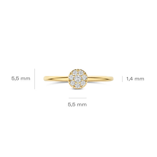 Blush BLUSH 1277YZI 14krt geelgouden ring, aanschuifbaar, met 8x zirconia in ronde vorm