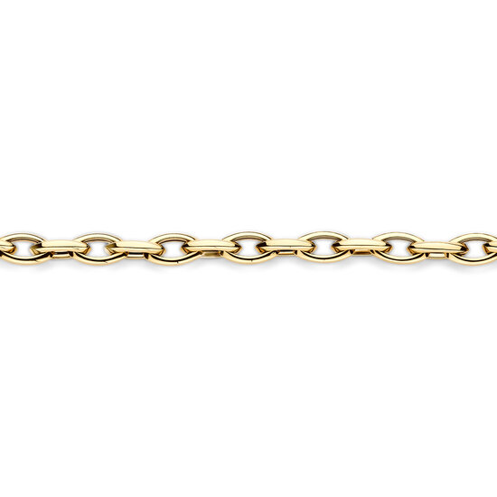 Blush BLUSH 2263YGO 14krt geelgouden schakelarmband, navetteschakels, 19 cm