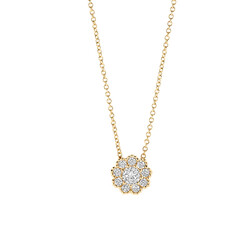 BLUSH 3196YZI 14krt geelgouden collier met rond hangertje en zirconia's
