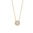 Blush BLUSH 3196YZI 14krt geelgouden collier met rond hangertje en 10 zirconia's