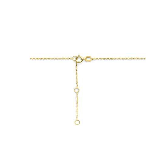 Collectie Milikan Collectie Milikan 14 Karaat Geelgouden collier met ovale hanger 40-44cm