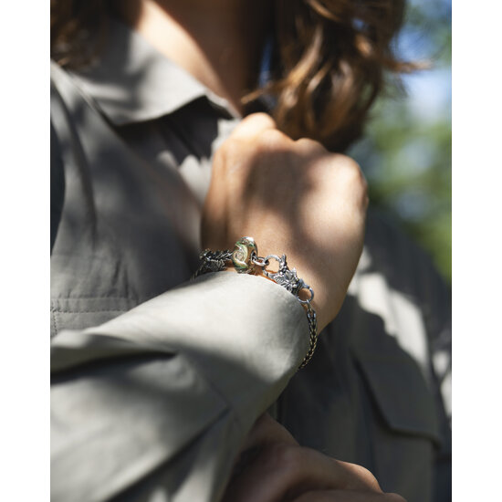 Trollbeads TROLLBEADS TSA25B20 Startersarmband (incl slot en 2 bedels): Kastanje hart