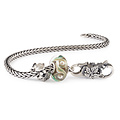 Trollbeads TROLLBEADS TSA25B20 Startersarmband (incl slot en 2 bedels): Kastanje hart