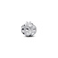 Pandora PANDORA 794527C00 Textured ladybird sterling silver mini charm