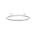 Ti Sento Milano TI SENTO MILANO 2889ZI Zilver Gerodineerde bangle zilver zirkonia