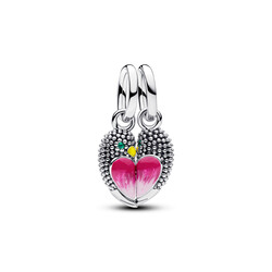 PANDORA 794484C01 Magnetic love birds sterling silver splittable dangle