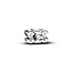 Pandora PANDORA 794454C01 SIS sterling silver charm with zirconia