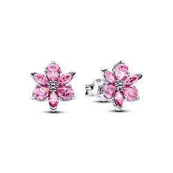 PANDORA 292633C02  Herbarium cluster sterling silver stud earrings