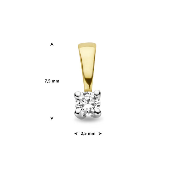 Collectie Milikan Huiscollectie 14 krt bicolor solitairhanger met 1x 0.10ct H/SI, 1060122