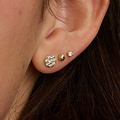 Blush BLUSH 7396YZI 14krt geelgouden oorknoppen, plat rondje bezet met zirconia's, 5.4 mm
