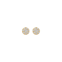 BLUSH 7396YZI 14krt geelgouden oorknoppen