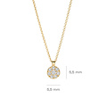 Blush BLUSH 3206YZI 14krt geelgouden collier met hangertje, plat rondje bezet met zirconia's, 42 cm