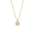Blush BLUSH 3206YZI 14krt geelgouden collier met hangertje, plat rondje bezet met zirconia's, 42 cm