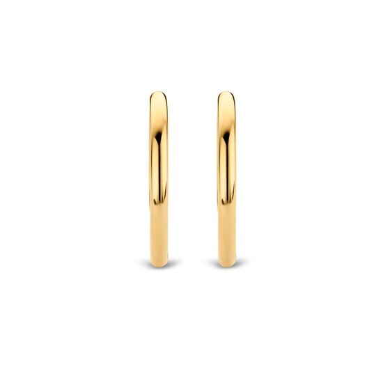 Ti Sento Milano TI SENTO MILANO 7782SY Zilver vergulde ronde klapcreolen, 30 mm