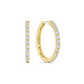 Ti Sento Milano TI SENTO MILANO 78077ZY Zilver vergulde klapcreolen, bezet met zirconia's, 20 mm