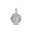 Pandora PANDORA 794807C01 Dolphin sterling silver medallion with clear cubic zirconia