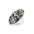 Trollbeads TROLLBEADS TAGBE-20312 Zilveren bedel: Verzamelvreugde