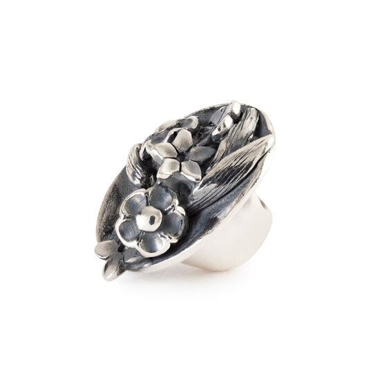 Trollbeads TROLLBEADS TAGBE-20312 Zilveren bedel: Verzamelvreugde