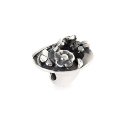 TROLLBEADS TAGBE-20312 Zilveren bedel: Verzamelvreugde