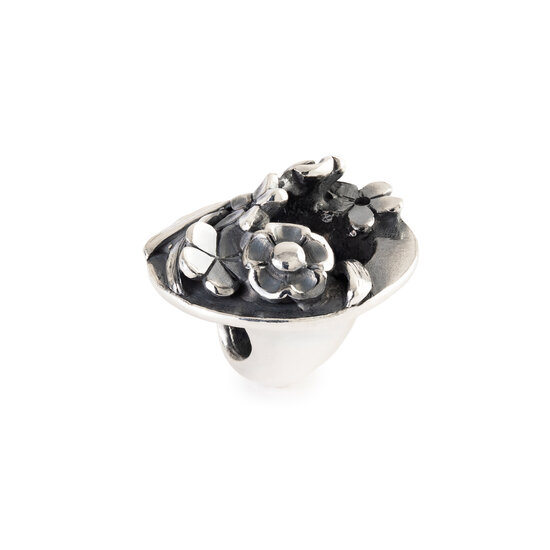 Trollbeads TROLLBEADS TAGBE-20312 Zilveren bedel: Verzamelvreugde
