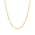 Blush BLUSH 3198YGO 14krt geelgouden collier, plat ankerschakeltje, 44 cm