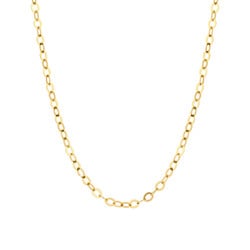 BLUSH 3198YGO 14krt geelgouden collier, plat ankerschakeltje, 44 cm
