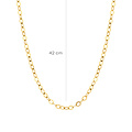 Blush BLUSH 3198YGO 14krt geelgouden collier, plat ankerschakeltje, 44 cm