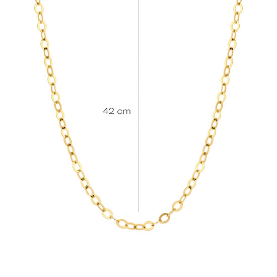 Blush BLUSH 3198YGO 14krt geelgouden collier, plat ankerschakeltje, 44 cm