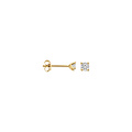 Blush BLUSH LG7036Y 14krt geelgouden LAB grown solitair oorknoppen, LAB diamant 2x 0.10ct TW/VSI in 4-pootszetting