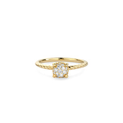R&C Romance 18krt geelgouden ring Embrace, model 2033-DI, 19x diamant