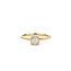 by R&C R&C Romance 18krt geelgouden ring Embrace, model 2033-DI, gezet met 19x diamant tot. 0.17 TW/SI