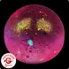 Fun Trading Squishy Ice Ball Maltose Glitzer Ball Pink – TikTok Anti-Stress Spielzeug im Eisball Look Fun Trading Squishy Ice Ball Maltose Glitzer Ball Pink – TikTok Anti-Stress Spielzeug im Eisball Look