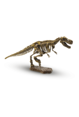 SES Creative SES Bikken Dino Skelet T-Rex