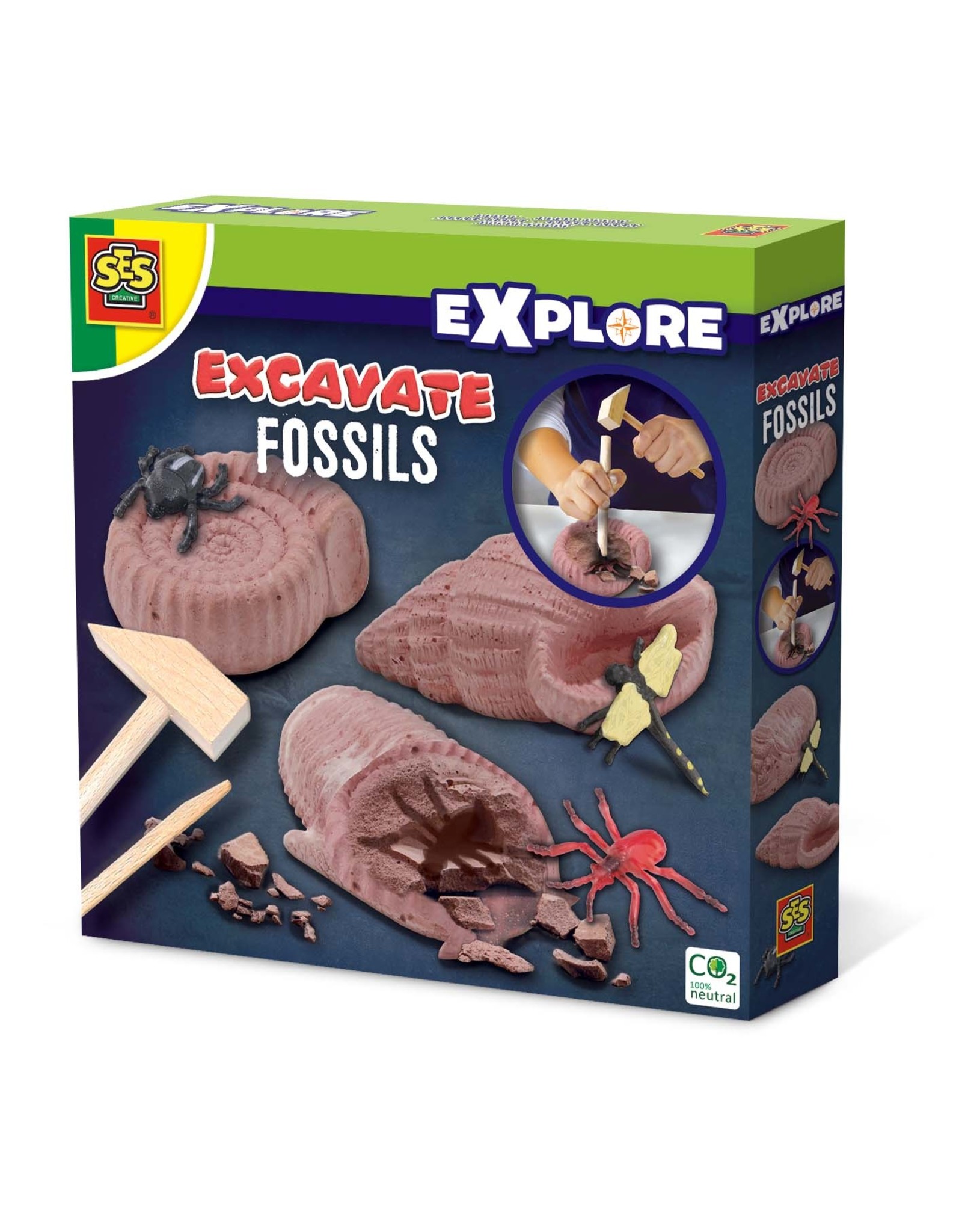 SES Creative Explore - Excavate fossils