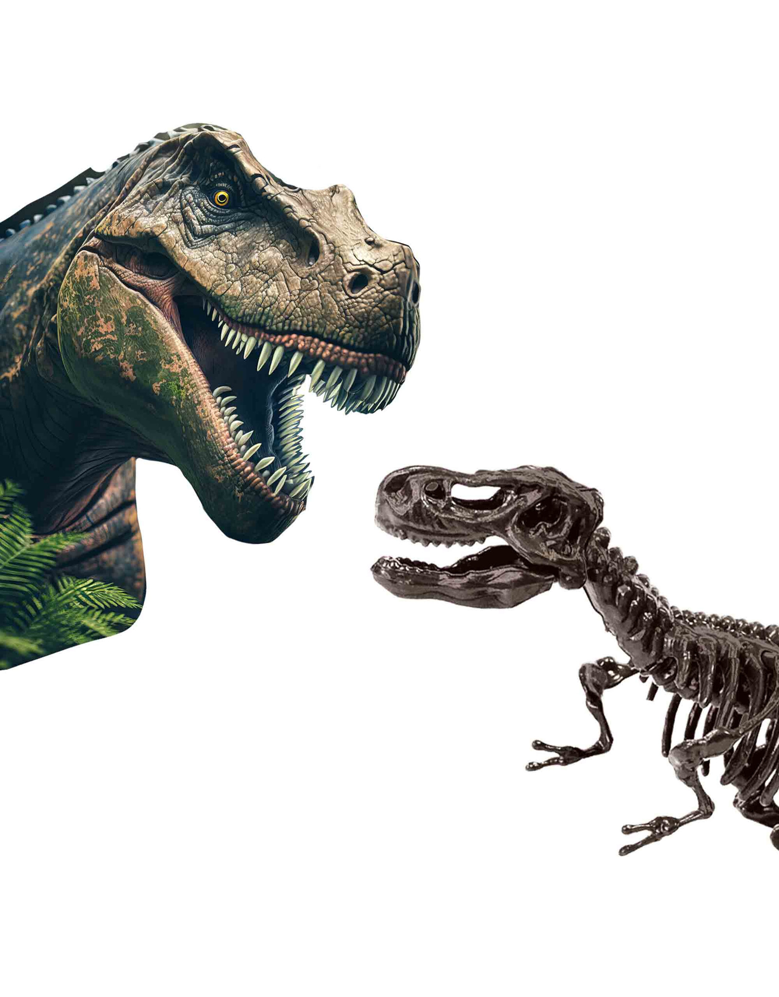 SES Creative SES - Explore - Dino en skelet opgraven 2 in 1 - T-rex