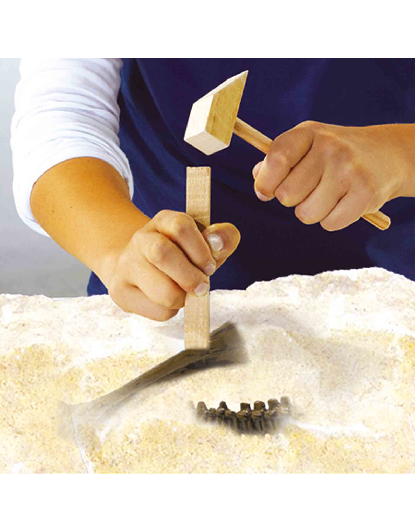 SES Creative SES - Explore - Dino and skeleton excavation 2 in 1 - Triceratops