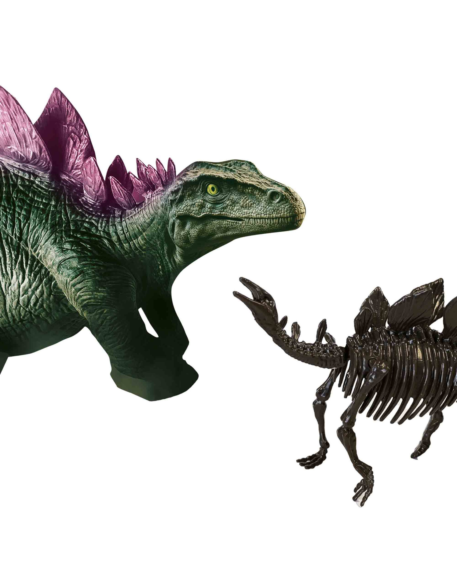 SES Creative SES - Explore - Dino and skeleton excavation 2 in 1 - Stegosaurus
