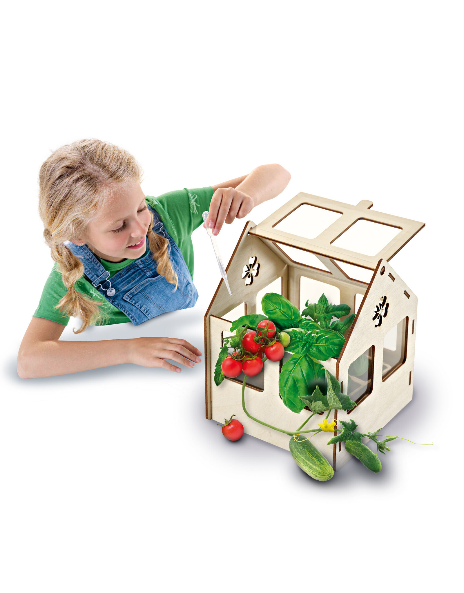 SES Creative SES - Explore - Greenhouse veggies