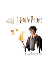 SES Creative SES - Casting en Painting - Harry Potter