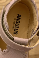 ANGULUS ANGULUS 3331-101 2401  LILA 21