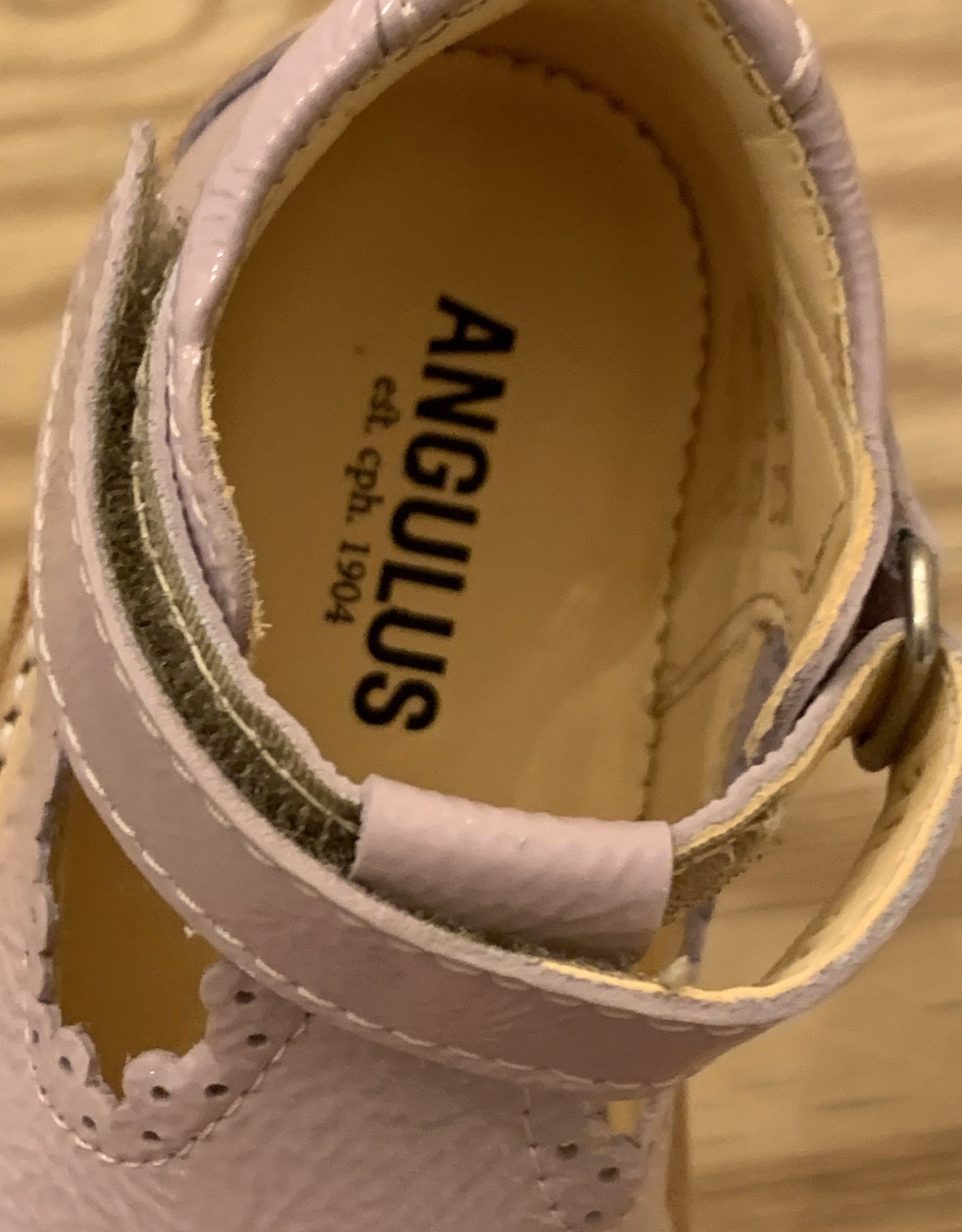 ANGULUS ANGULUS 3331-101 2401  LILA 21
