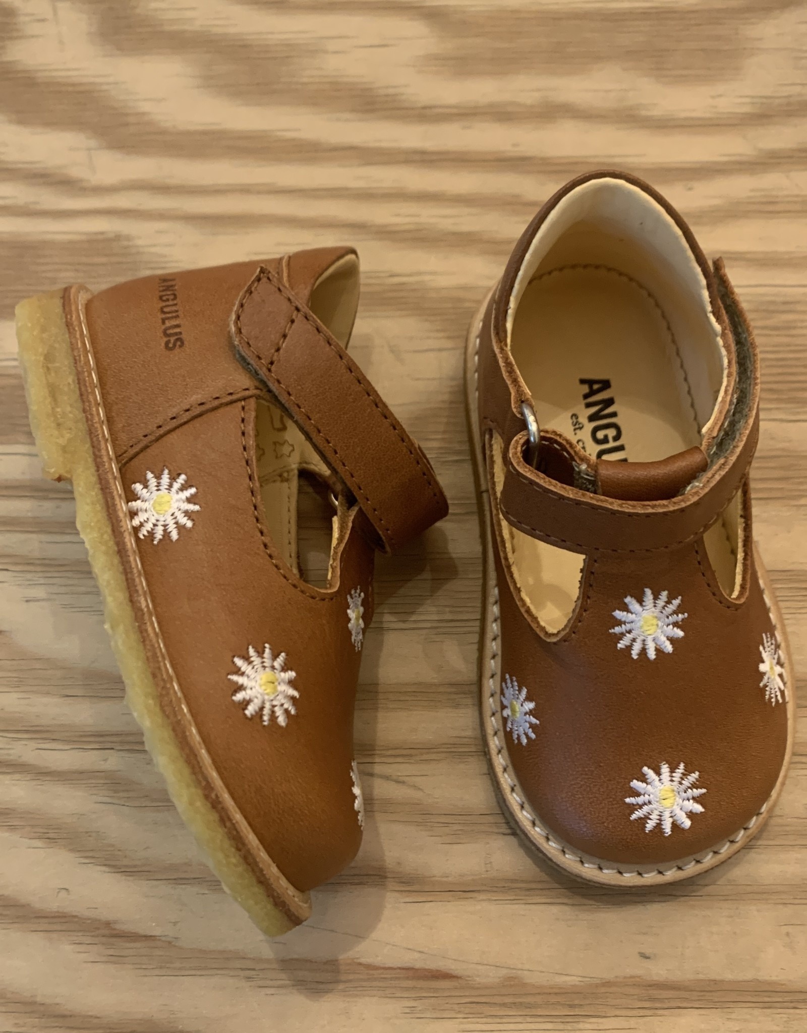 ANGULUS ANGULUS 3354-201 1545 COGNAC 23