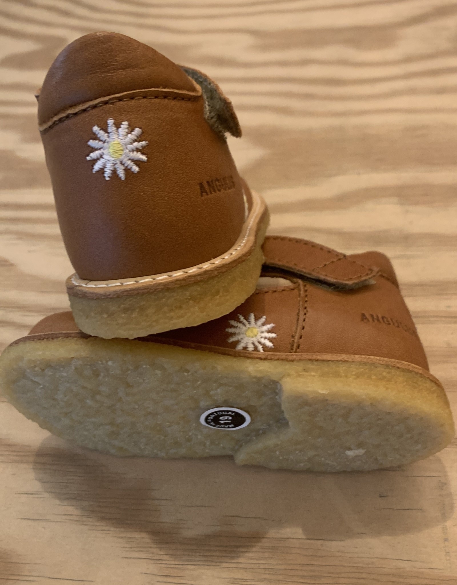 ANGULUS ANGULUS 3354-201 1545 COGNAC 23